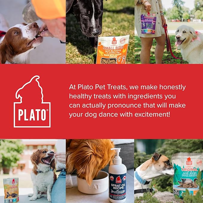 PLATO Pet Treats Real Strips - Air-Dried Meat Bars for Dogs - Delicious, Limited Ingredient Dog Treats - Grain Free - Original Real Strips Lamb 6oz