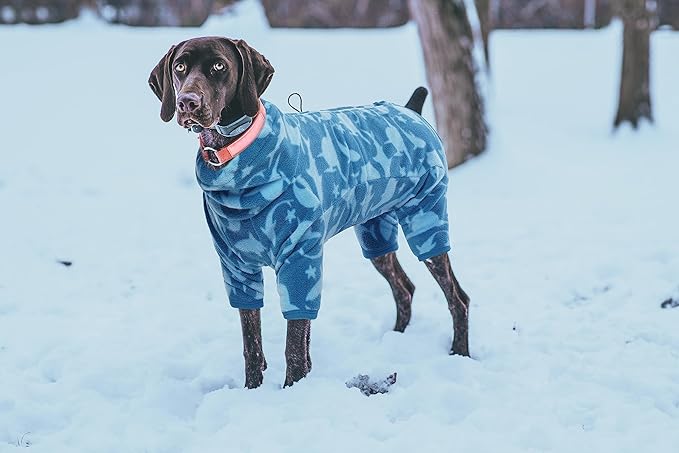 ROZKITCH Dog Shark Fleee Pajamas, Pet Windproof Warm Cold Weather Jacket Vest with Luminous Zipper, Jumpsuit Apparel Outfit Clothes for Small Medium Large Dog Shark S