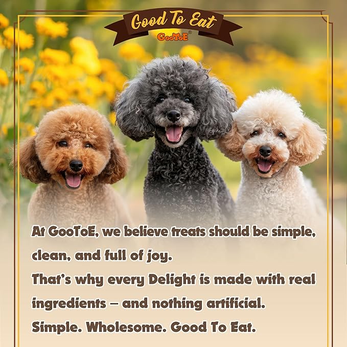 Gootoe Turkey Tendon Dog Treats, Pretzel (S) 6 Pieces per Pack, USA-Sourced Turkey Tendon, Natural Snack, Premium Puppy Chews, Hypoallergenic, Reseal Value Bags, Size for Small Dogs (Pack of 2)