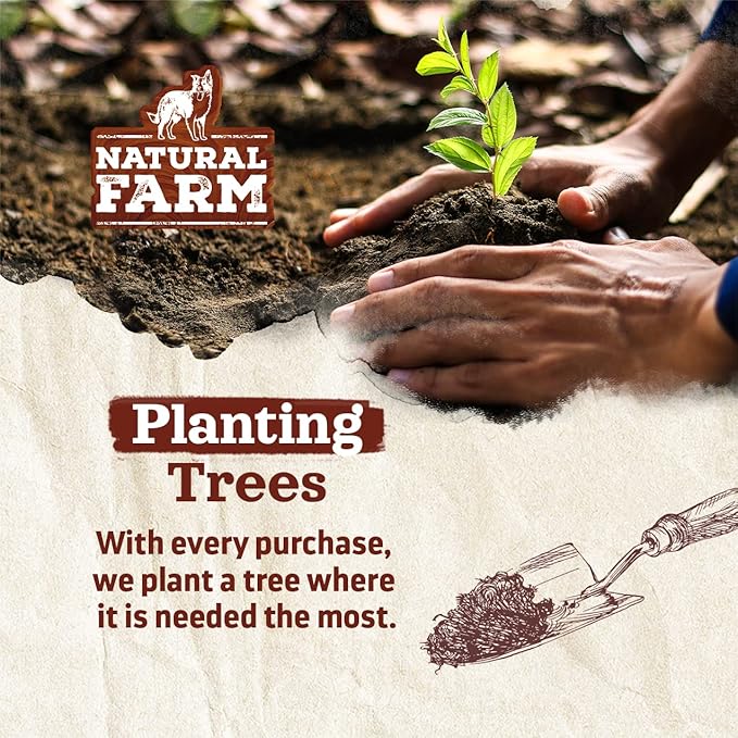 Natural Farm Odor-Free Bully Sticks (4”, 8oz) All-Natural Long-Lasting Chews, 100% Beef Pizzle, Grass-Fed, Grain-Free, Hormone-Free, Protein for Muscle Development & Energy, Perfect for Small Dogs