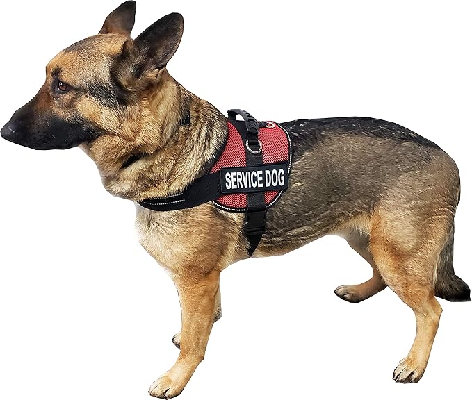 ActiveDogs Service Dog Vest Air-Tech Mesh Harness, XS Girth 16"-20" w/Handle, ADA Cards + Reflective Service Dog Patches - Red