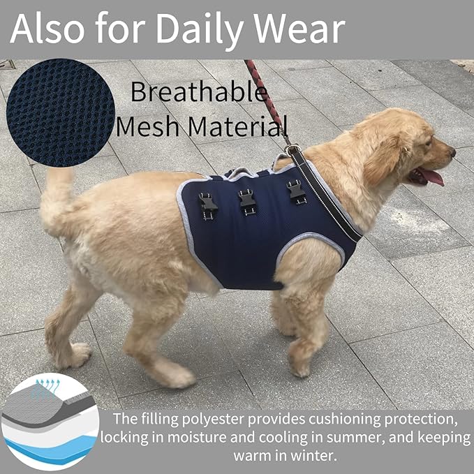 Dog Lift Harness, Recovery Sling Support Vest Stair Lift for Front Legs Only, Mobility Carrier with Handle for Senior, Elderly, Disabled, Joint Injuries, Arthritis, Paralysis- Medium