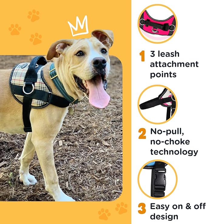Bark Appeal Purple No-Pull Dog Harness for Medium to Large Sized Pets – Adjustable, Reflective Vest with 3 Leash Clips for Added Control, Easy Walks & Training – Large