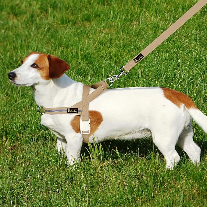 Plutus Pet Cotton Dog Harness and Leash Set, Reflective and Soft Padded, Quick Fit Vest Harness, for Small, Medium and Large Dogs, Beige, L