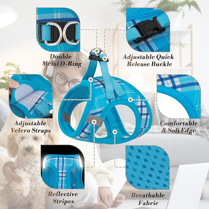 Athena Collection Small Dog Harness with 5 ft Leash, Step-in Dog Harness Leash Set Extra Small No Pull Dog Vest Harness with Reflective Strips Adjustable Velcro, Easy Walk Puppy Harness, Blue