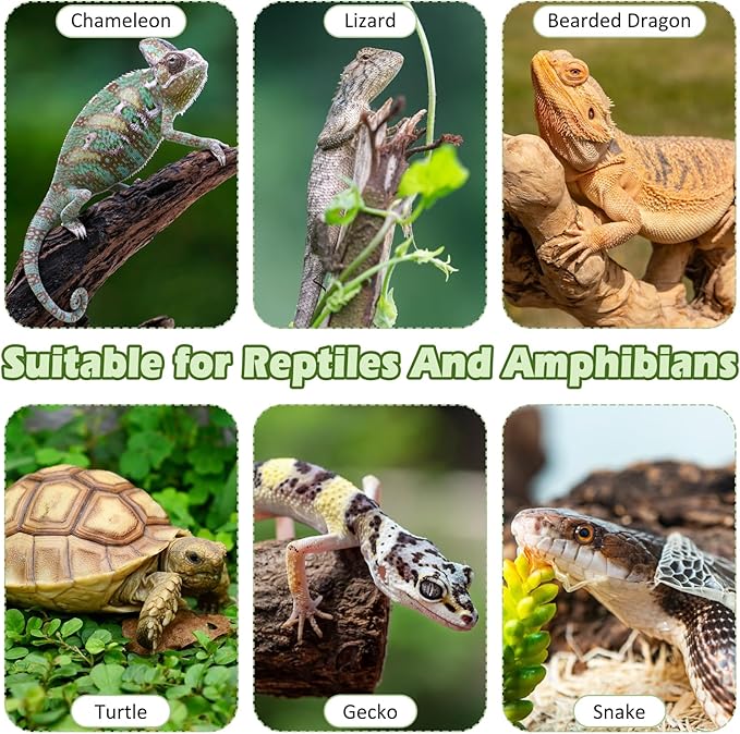 kathson Bearded Dragon Tank Accessories Kit, Reptile Hide Wooden Bridge Terrarium Liner Hammock Jungle Climber Vines Leaves Tweezer and Plant Reptile Habitat Decor for Chameleon Lizards Gecko Snakes