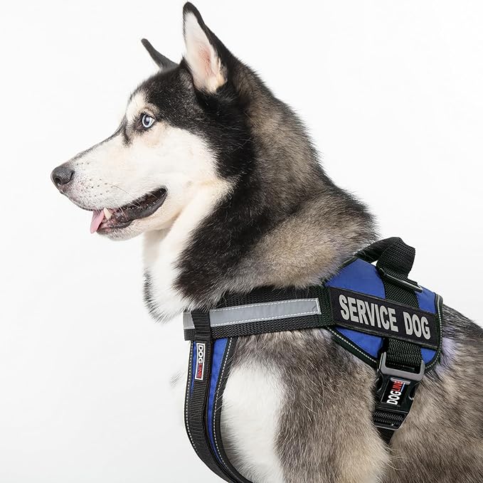 Dogline Unimax Service Dog Vest and Free Service Dog ID Badge with ADA Law, X-Large, Blue