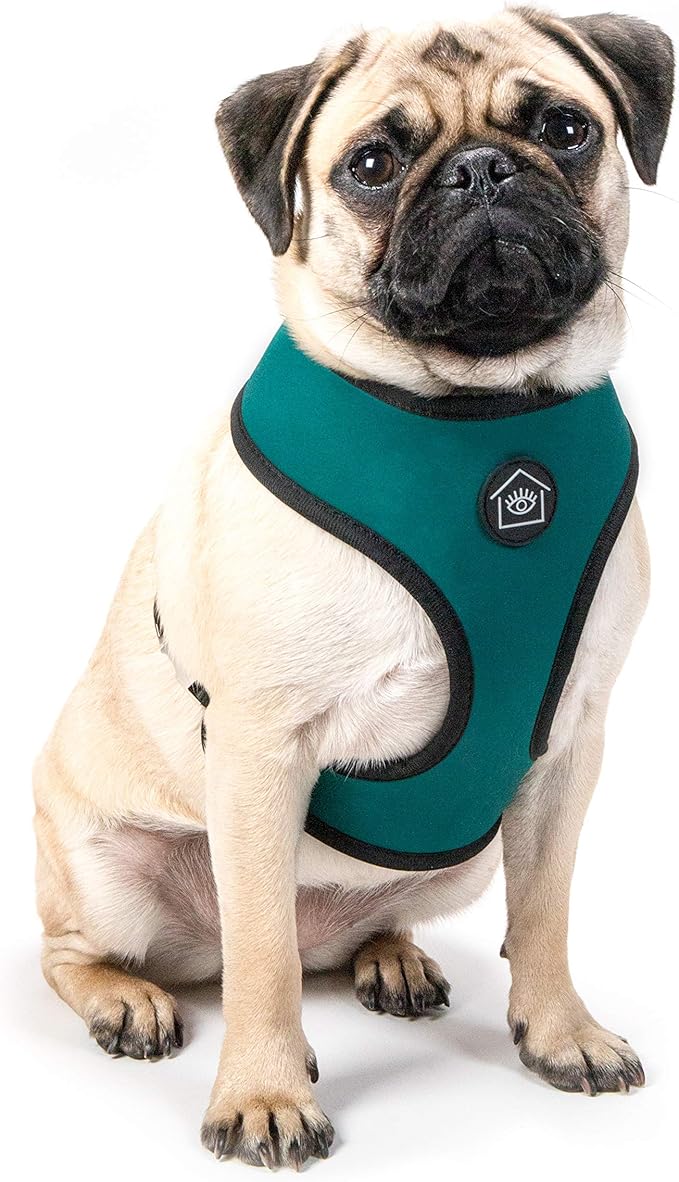 Now House for Pets by Jonathan Adler Jonathan Adler: Now House Leo Reversible Harness, Large | Stylish, Fashionable, and Functional Way to Keep Your Dog Looking Great | Adorable Dog Accessories