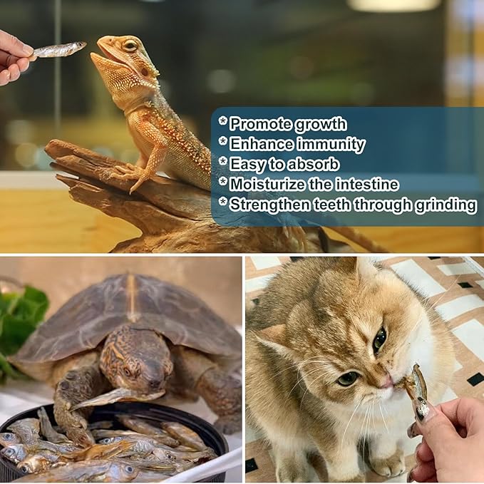 Dried River Fish - Dried Minnows Natural Food for Turtles Terrapins Cats Reptiles Large Tropical Fish(5.5 OZ)