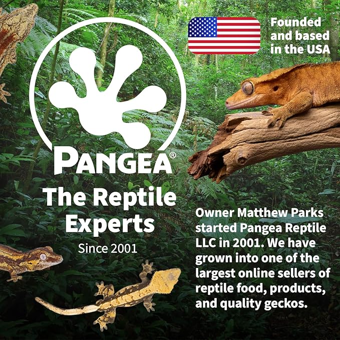 Pangea Silicone Gecko Feeding Ledge - Magnetic Mini Food Dish for Reptile Tank - 4.125" x 2.625" x 1.18" - Fits 0.5oz Cups (Gray)