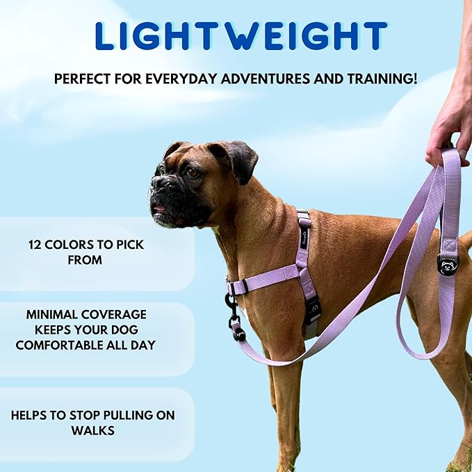ShawnCo Dream Walk No-Pull Dog Harness- Adjustable, Comfortable, Easy to Use Pet Halter to Help Stop Pulling for Small, Medium and Large Dogs (Pacific Blue, S)
