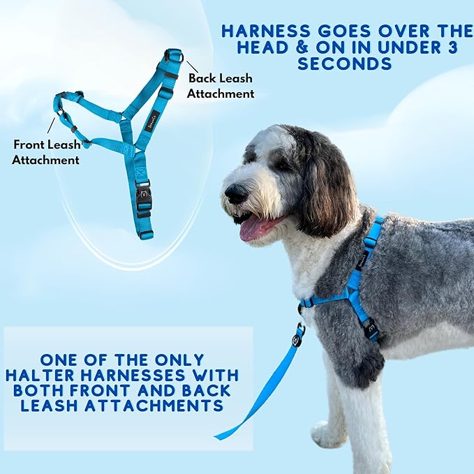 ShawnCo Dream Walk No-Pull Dog Harness- Adjustable, Comfortable, Easy to Use Pet Halter to Help Stop Pulling for Small, Medium and Large Dogs (Pacific Blue, S)