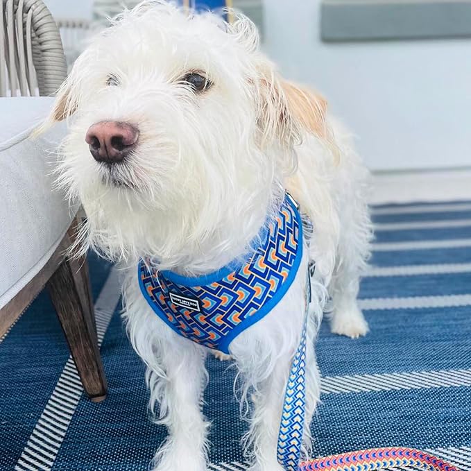 Lucky Love Dog, Geometric Pattern Vest for Male Female Dogs, Soft & Reversible, Bold Tangerine, Sky and Yellow Color Dog Vest - (X-Small, Murphy Vest)
