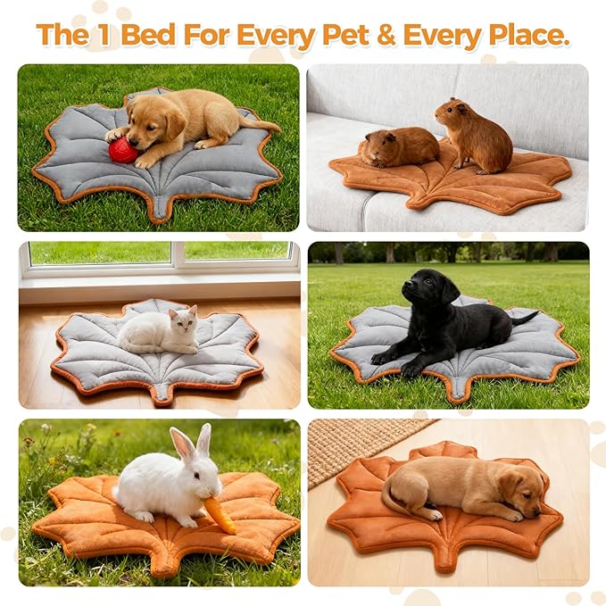 KOOLTAIL Upgrade Self Warming Cat Bed for Winter, Reversible Extra Cozy Pet Sleeping Blanket Pad for All Season, Thicken Self Heating Puppy Mats with Thermal Foil for Crate, Floor, Outdoor, Maple Leaf