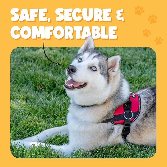 Bark Appeal Purple No-Pull Dog Harness for Medium to Large Sized Pets – Adjustable, Reflective Vest with 3 Leash Clips for Added Control, Easy Walks & Training – Large
