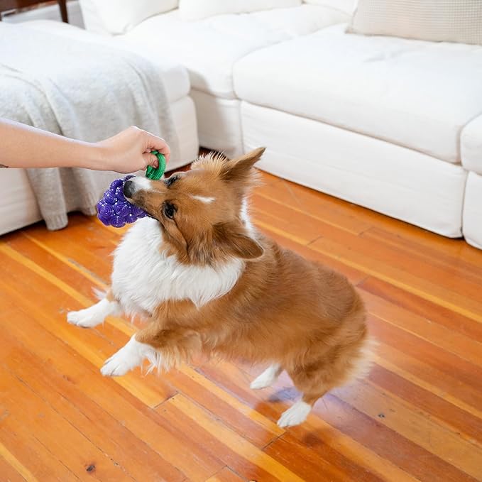 Outward Hound by Planet Dog Dental Grapes Dental Chew Toy and Interactive Treat Stuffer Durable Dog Toy Stuffable Dog Toy, Medium, Purple