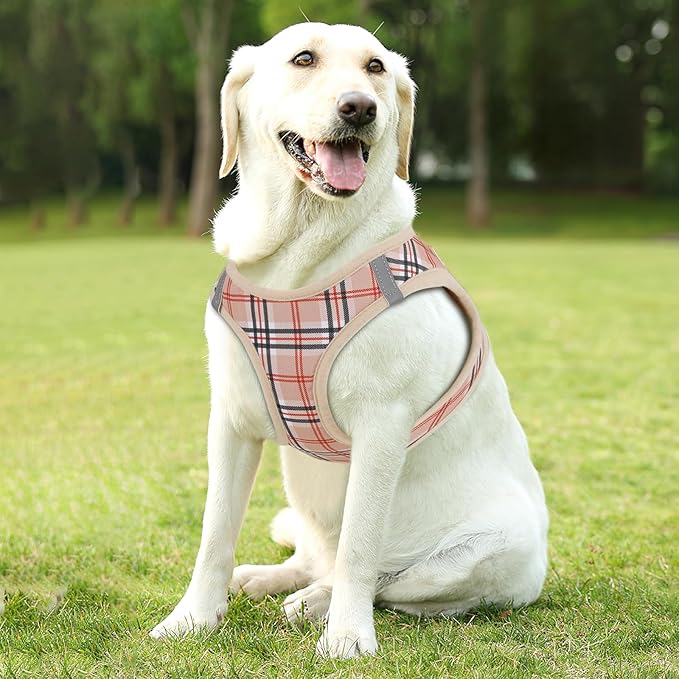 Athena Collection Step-in Dog Harness with 5 ft Leash, Large Dog Harness Leash Set Large No Pull Dog Vest Harness with Reflective Strips Adjustable Velcro, Easy Walk Dog Harness, Beige