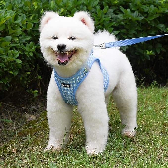 AIITLE Easy Walk Dog Vest Harness and Leash Set, Pet Supply No Pull, Breathable Mesh, Reflective Stripes, Adjustable Escape Proof Pet Outdoor Harnesses for Medium Dogs Blue L
