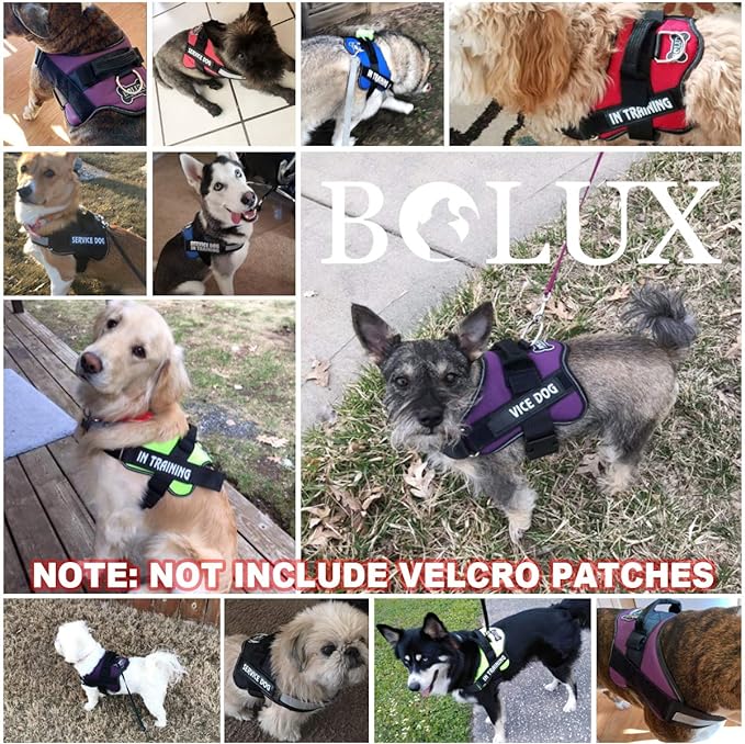 Bolux Dog Harness, No-Pull Reflective Dog Vest, Breathable Adjustable Pet Harness with Handle for Outdoor Walking - No More Pulling, Tugging or Choking (Blue, S)