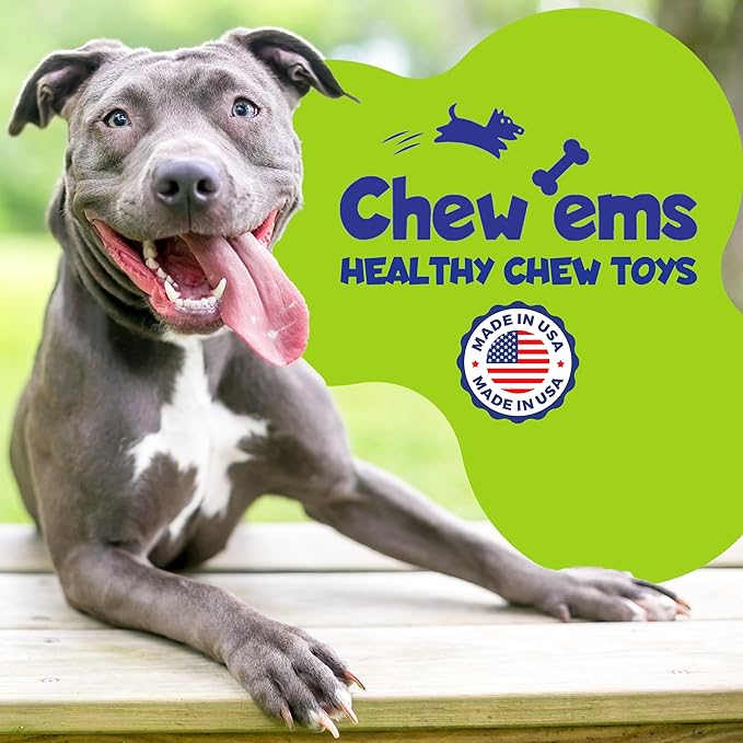 Chew'ems Durable Chew Toys for Small Dogs, Long-Lasting & Flavorful Chew Dog Toys, Small Dog Breeds | Beef-Flavored (Pack of 2)