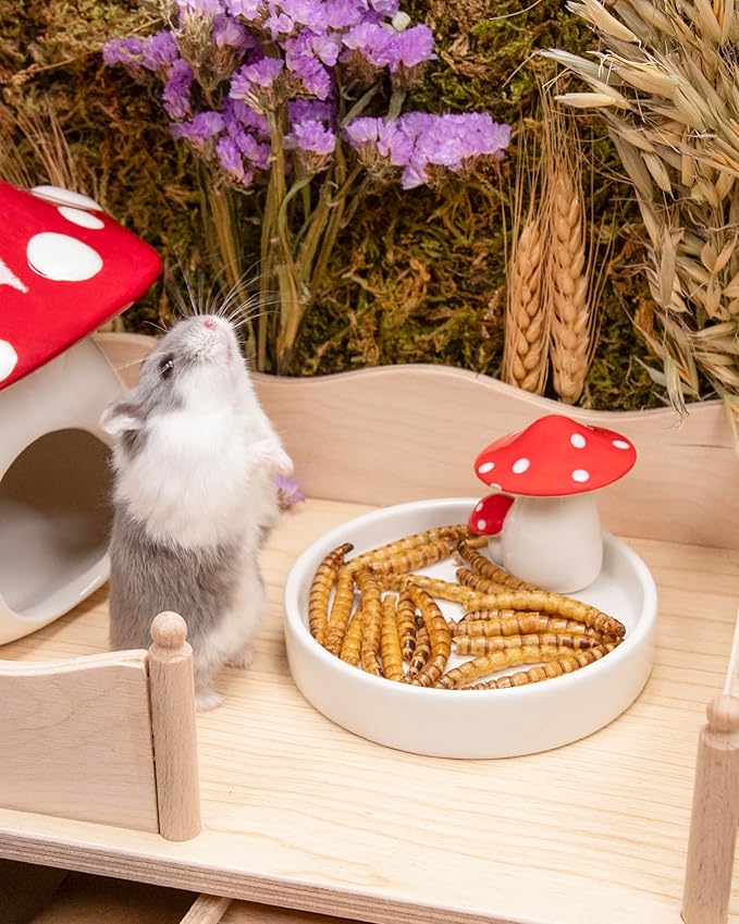 Niteangel Small Animal Snack & Treats - Small Critter Natural Treat for Dwarf Syrian Hamsters Gerbils Mice Sugar Glider Hedgehogs Chickens Birds (Dried Worms- 0.9oz (25g))