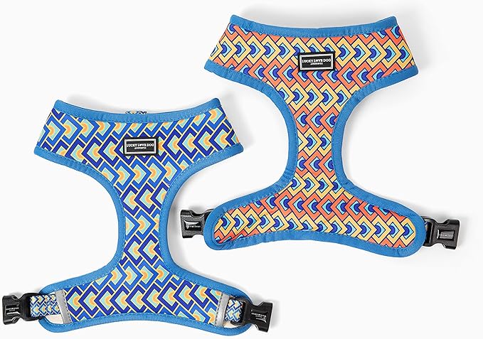 Lucky Love Dog, Geometric Pattern Vest for Male Female Dogs, Soft & Reversible, Bold Tangerine, Sky and Yellow Color Dog Vest - (X-Small, Murphy Vest)