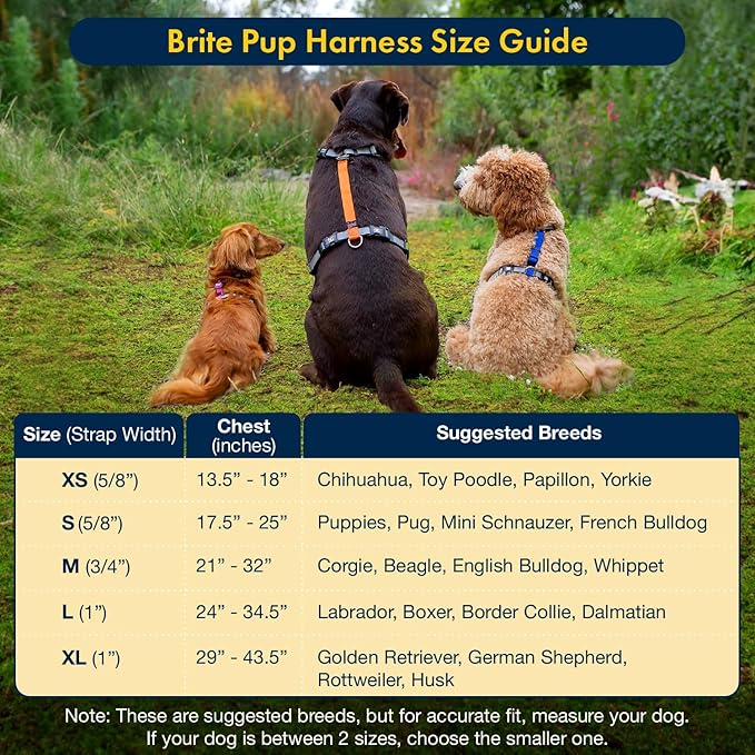No Pull Harness with Fully Customizable Fitment for XL Dogs - 3M Reflective Heavy Duty Harness for Walking & Training - No Choke Comfortable Collar Design, Made in USA XL-Black