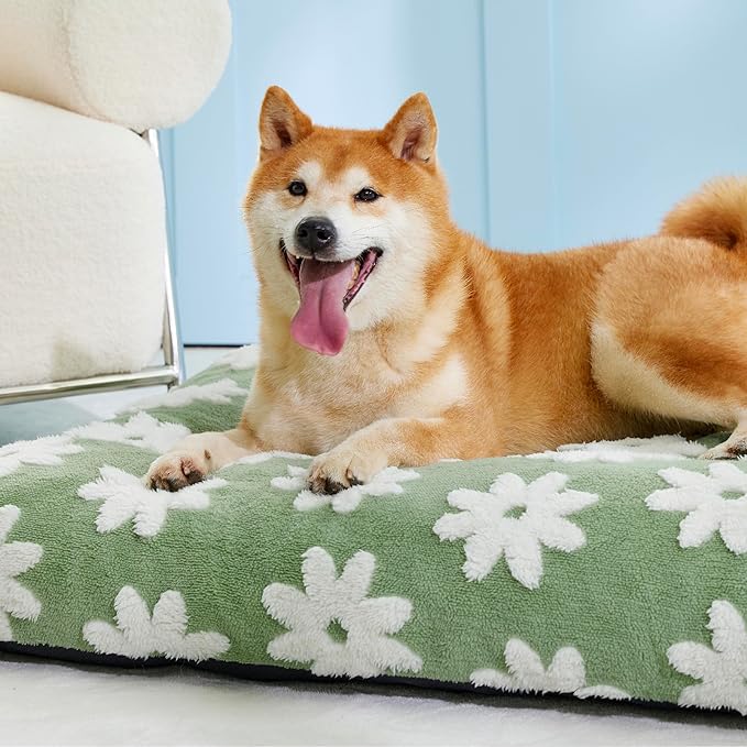 LE SURE Dog Beds Large Sized-Thick Shredded Chopped Foam Pet Bed Indoor with Removable Cover, Cute Modern Fuzzy Plush & Anti Slip Bottom, Green