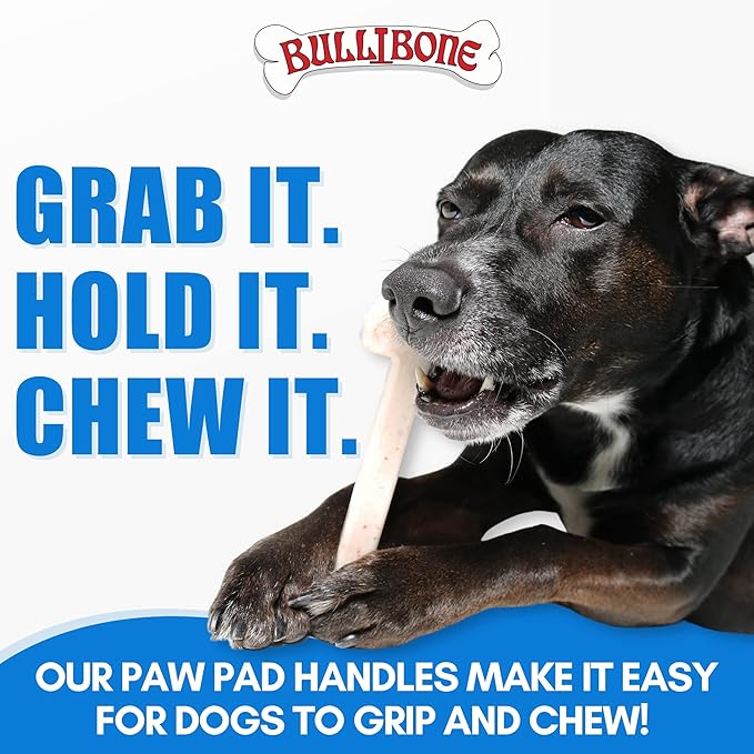 Bullibone Nylon Dog Chew Toy Nylon Bone - Improves Dental Hygiene, Easy to Grip Bottom, and Permeated with Flavor (Peanut Butter, XL - Single)