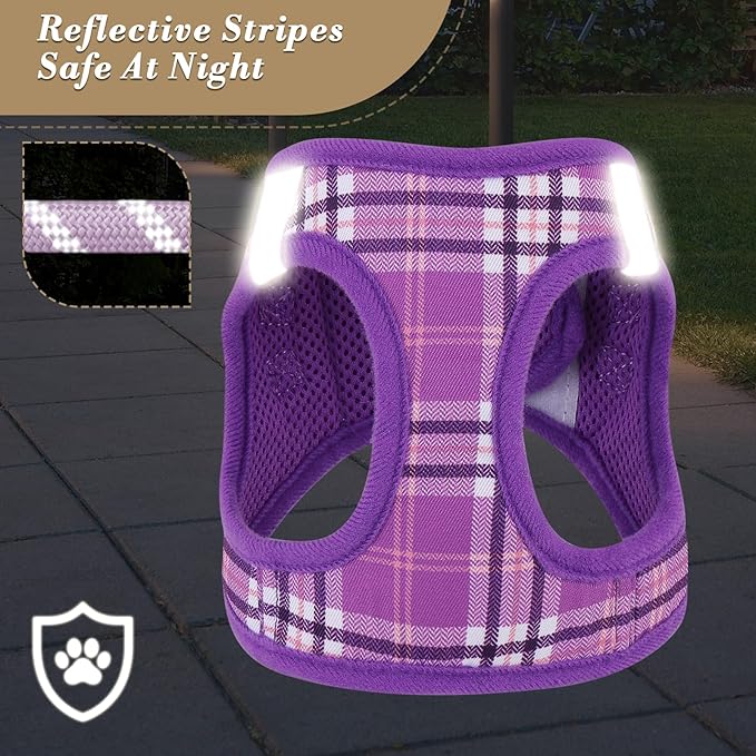 Athena Collection Small Dog Harness with 5 ft Leash, Step-in Dog Harness Leash Set Small No Pull Dog Vest Harness with Reflective Strips Adjustable Velcro, Easy Walk Puppy Harness, Purple