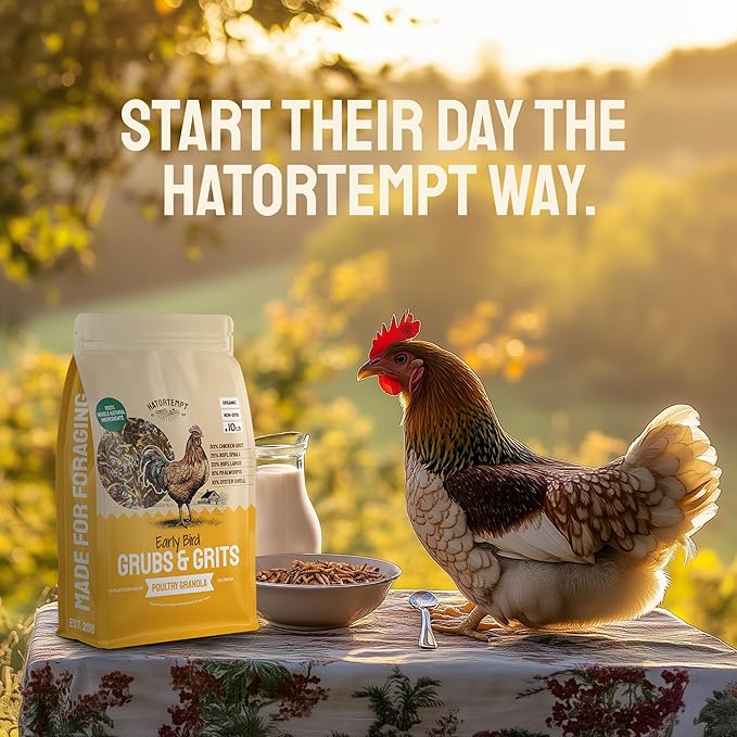 Hatortempt Non-GMO Chicken Feed - 10 lb, Pack of 1 - High Protein Formula - Mealworms for Chickens - Egg Shell Strength - Calcium Grit - Layer Nutrition & Layer Feed