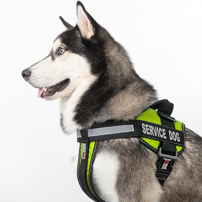 Dogline Unimax Service Dog Vest and Free Service Dog ID Badge with ADA Law, X-Large, Lime Green
