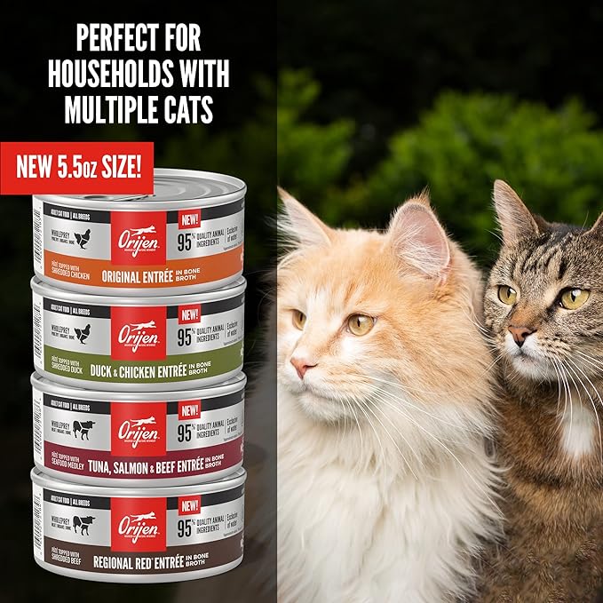 ORIJEN Premium Pate Wet Cat Food in Bone Broth Original Entrée 3oz Cans (24 Count)