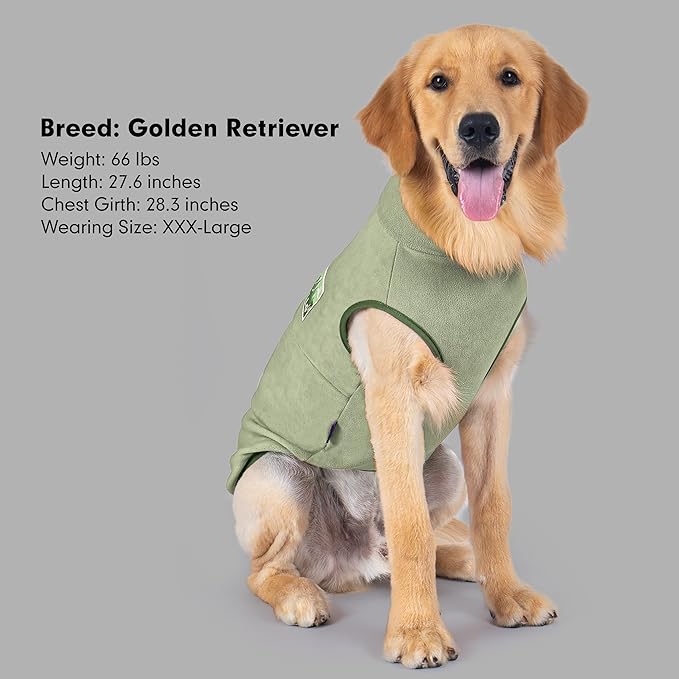 cyeollo Fleece Dog Sweater, Turtleneck Dog Sweatshirt Stretchy Pullover Fleece Vest Warm Winter Fall Clothes for Small Dogs Boy Pet Apparel, Green L