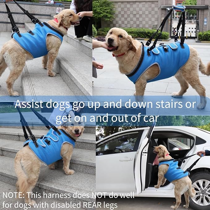 Dog Lift Harness, Recovery Sling Support Vest Stair Lift for Front Legs Only, Mobility Carrier with Handle for Senior, Elderly, Disabled, Joint Injuries, Arthritis, Paralysis- Medium