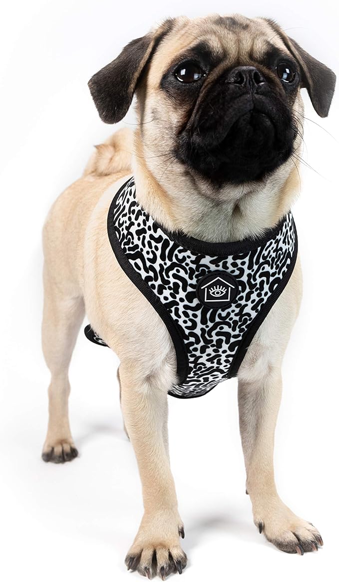 Now House for Pets by Jonathan Adler Jonathan Adler: Now House Leo Reversible Harness, Large | Stylish, Fashionable, and Functional Way to Keep Your Dog Looking Great | Adorable Dog Accessories