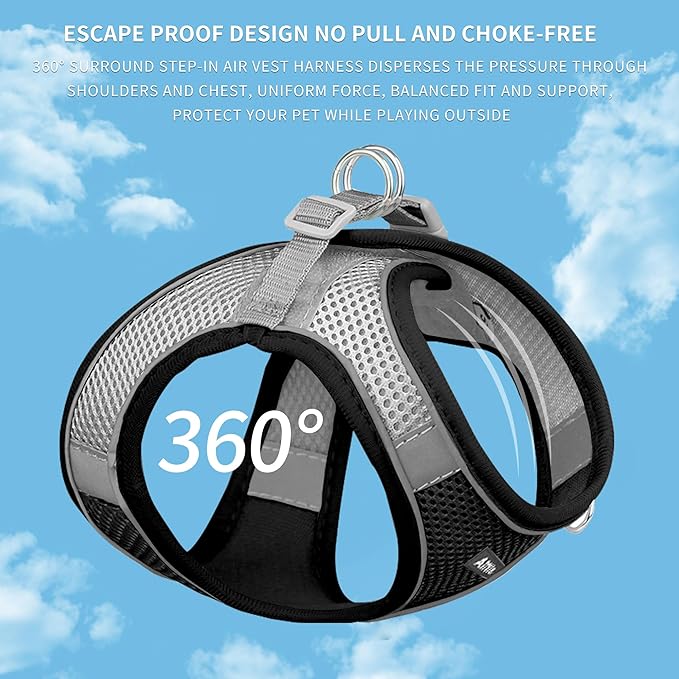 AIITLE Small Harness for Puppy with A Leash - Summer Dog Vest Harness with Super Breathable Mesh, Reflective No-Pull Pet Harness for Outdoor Walking, Camping for Small Dogs, Cats Black XXS