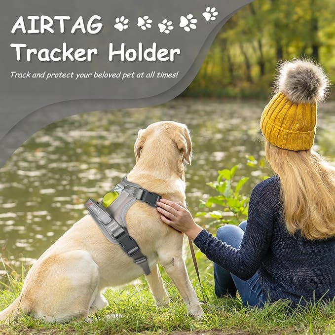 AUROTH Dog Harness Medium Sized Dog, Dog Vest Harness Medium Size Dog, Medium Dog Harness, No Pull Dog Harness for Medium Dogs with Handle, Grey M