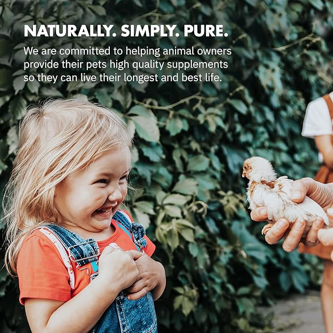 HealthyGut Probiotics for Chickens & Poultry, All-Natural Digestive System Dietary Supplement (90 Scoops)