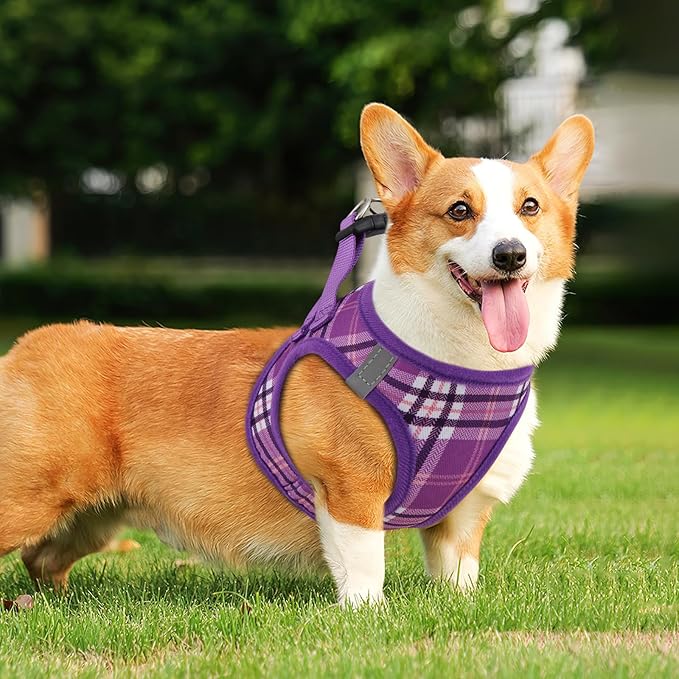 Athena Collection Step-in Dog Harness with 5 ft Leash, Small to Medium Dog Harness Leash Set Medium No Pull Dog Vest Harness with Reflective Strips Adjustable Velcro, Easy Walk Puppy Harness, Purple