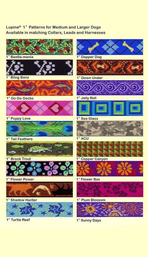 LupinePet Originals 1" Flower Power 19-28" Step In Harness for Medium Dogs