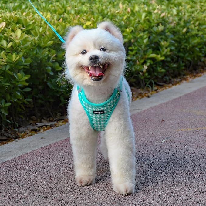 AIITLE Adjustable Dog Harness and Leash Set, Step in No Pull Pet Harness, Soft Mesh Reflective Plaid Vest Harnesses for Small Dogs Puppy and House Cats Outdoor Walking Running Turquoise XS