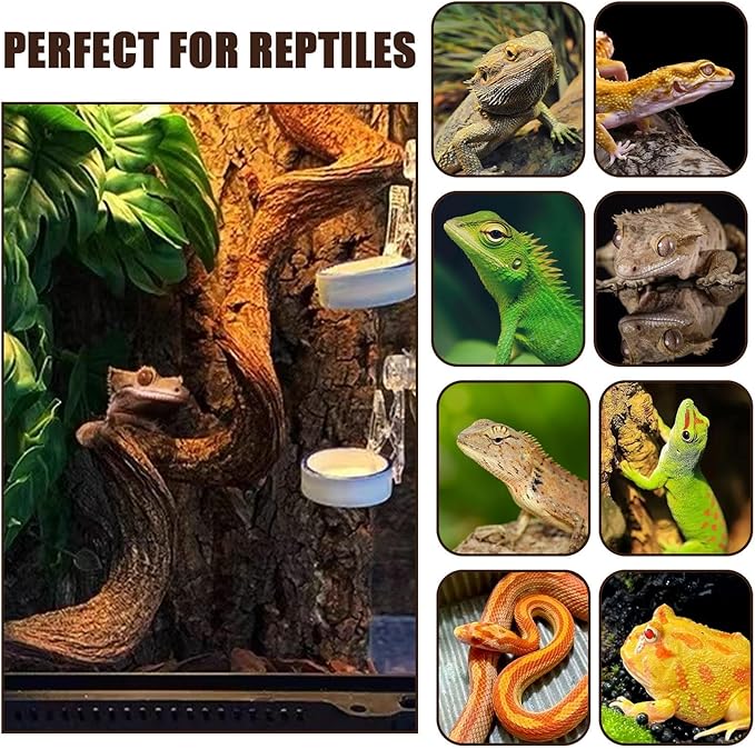 BNOSDM 4PCS Natural Reptile Climbing Branches Decor,0.8-1.2" Thick Snake Climbing Forest Wood with Plant Leaf Decor,Lizard Forest Branch,Geckos Tank Tree Trunk Accessories for Bearded Dragons