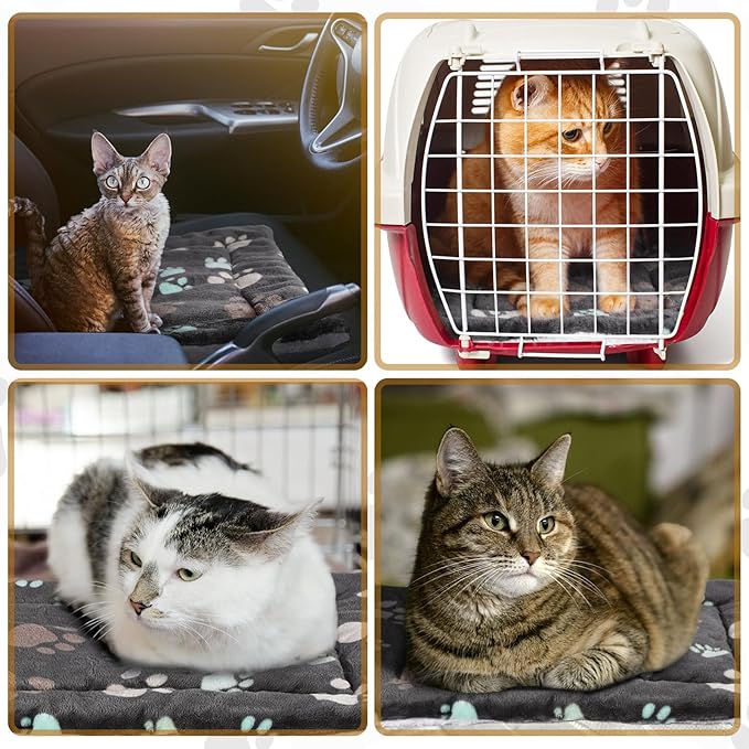 Tuanse 4 Pack Ultra Soft Dog Cat Bed Mat with Cute Prints Reversible Fleece Dog Crate Kennel Pad Cozy Washable Thickened Hamster Guinea Pig Pet Bed Mat for Small Animals(13 x 19 Inches,Black)