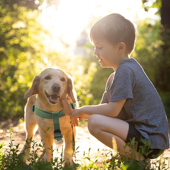 Dog Harness for Medium Dogs Rayon Derived from Bamboo 90%, Polyester 10% No Pull Dog Harness, Step-in Adjustable Dog Harness for Medium Dogs-Green