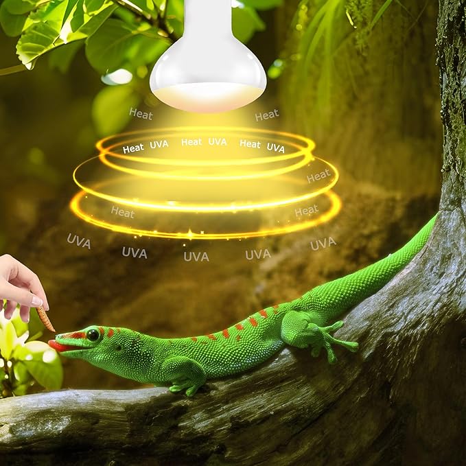 UVA Reptile Heat Lamp Bulb 100W - Basking Light for Bearded Dragons, Lizards, Tortoises, Chicks & Amphibians, Simulated Sunlight for Terrariums, Enhances Bone Strength & Overall Health