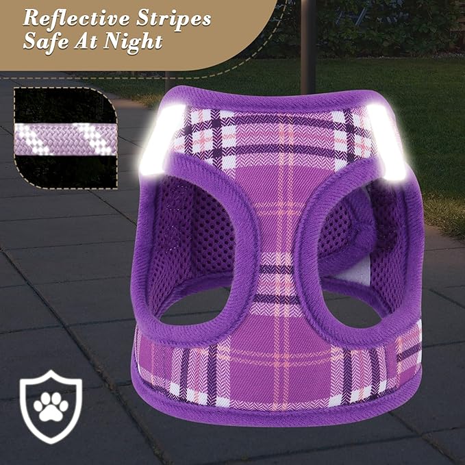 Athena Collection Small Dog Harness with 5 ft Leash, Step-in Dog Harness Leash Set Extra Small No Pull Dog Vest Harness with Reflective Strips Adjustable Velcro, Easy Walk Puppy Harness, Purple