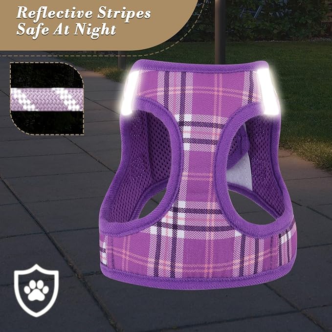 Athena Collection Step-in Dog Harness with 5 ft Leash, Small to Medium Dog Harness Leash Set Medium No Pull Dog Vest Harness with Reflective Strips Adjustable Velcro, Easy Walk Puppy Harness, Purple