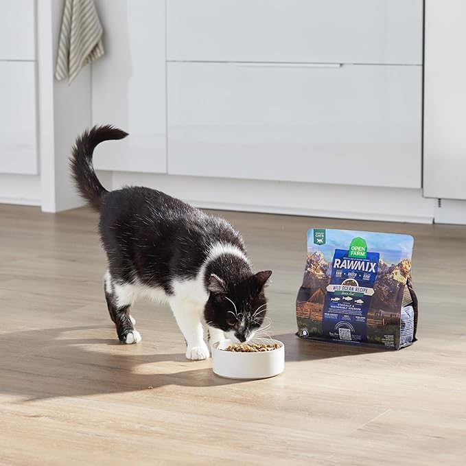 Open Farm, RawMix Dry Cat Food, Protein Packed Kibble Coated in Bone Broth with Freeze Dried Raw Chunks, Formulated for Kittens, Chicken with Turkey & Wild-Caught Salmon Recipe for Kittens, 8lb Bag