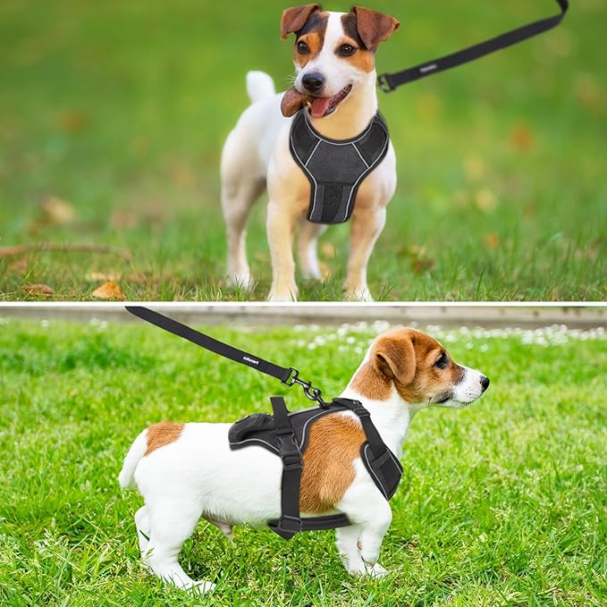 No Pull Dog Harness Vest Reflective Front Clip Vest with Pocket, Adjustable 2 Metal Rings 2 Buckles Easy to Wear & Take Off (Large, Red)